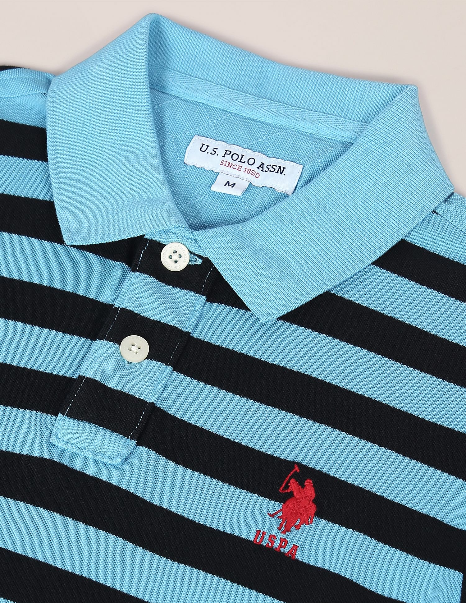 Ribbed Collar Striped Polo Shirt Blue - U.S. Polo Assn. India | Large