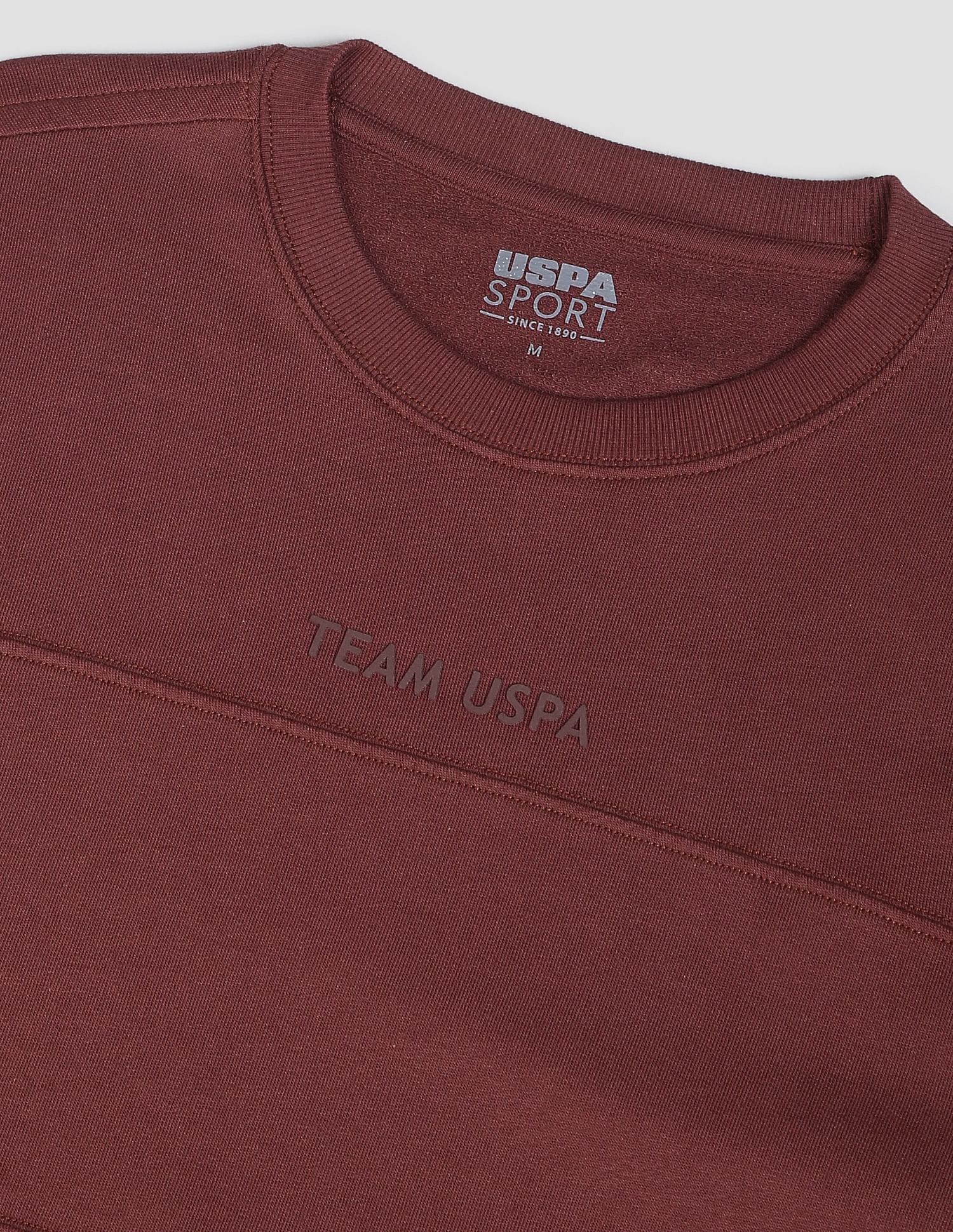 Tonal Logo Active Pullover Brown - U.S. Polo Assn. India | Large