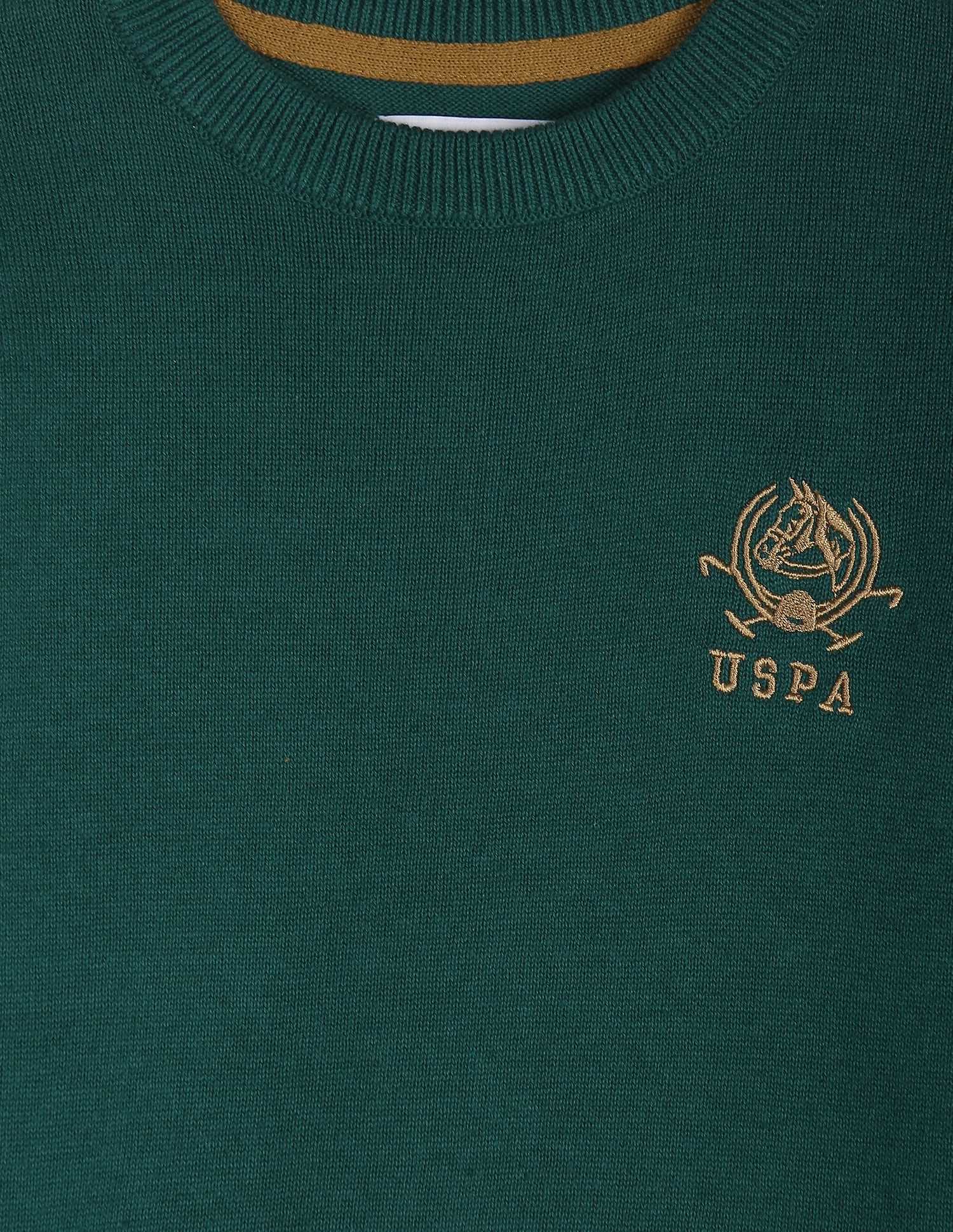 Boys Dark Green Solid Crew Neck Sweater Dark Green - U.S. POLO ASSN. | Large