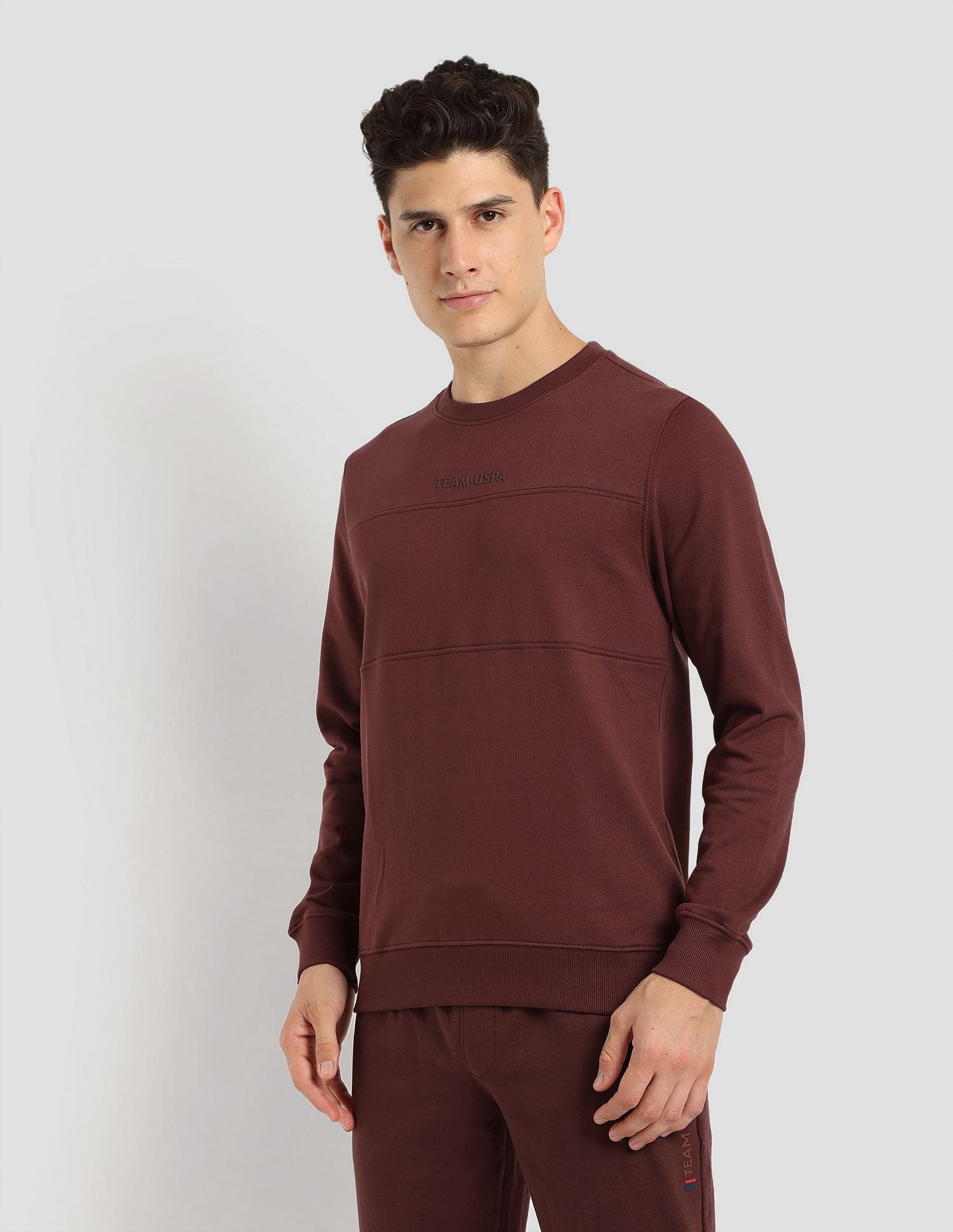 Tonal Logo Active Pullover Brown - U.S. Polo Assn. India | Large