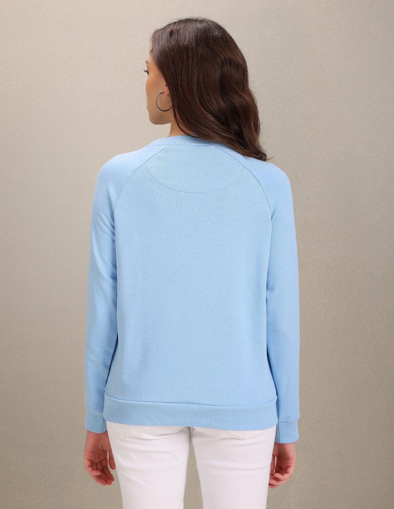 Crew Neck Solid Sweatshirt Light Blue - U.S. POLO ASSN. | Large