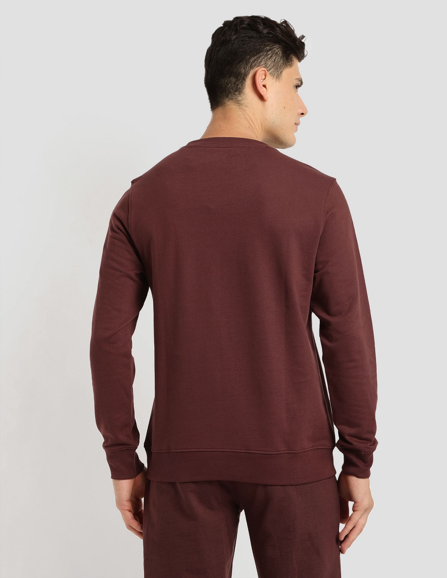 Tonal Logo Active Pullover Brown - U.S. Polo Assn. India | Large