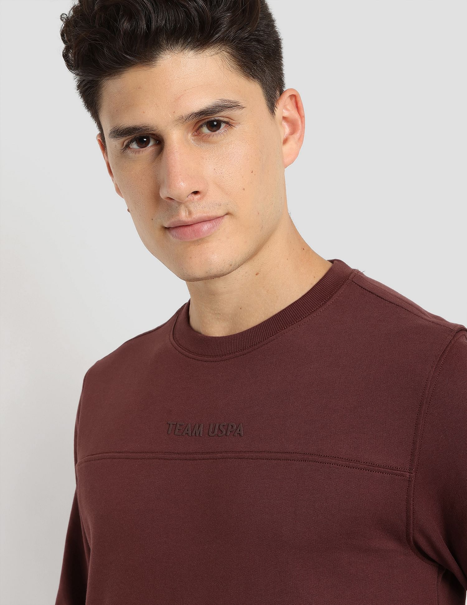 Tonal Logo Active Pullover Brown - U.S. Polo Assn. India | Large
